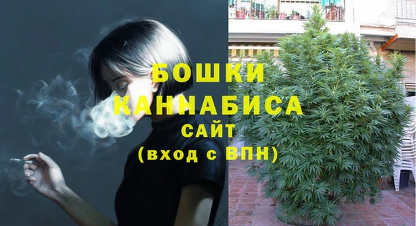 марки lsd Белокуриха