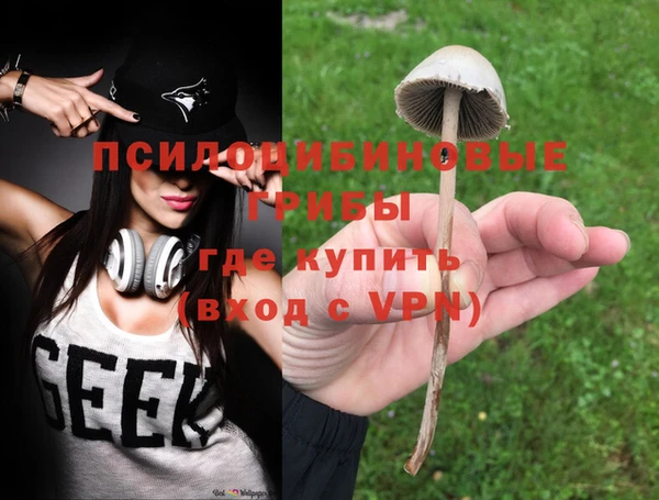марки lsd Белокуриха