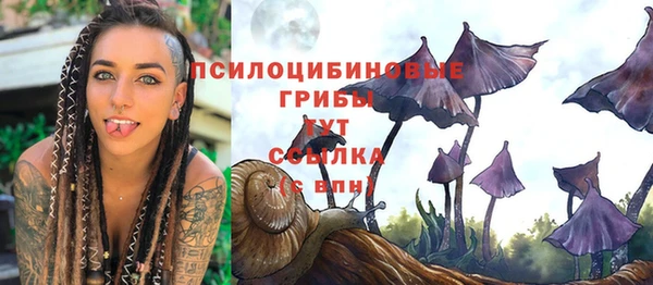 первитин Белоозёрский