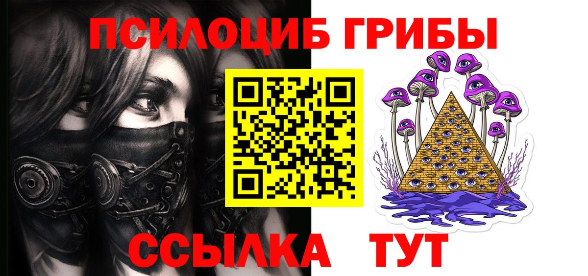 Псилоцибиновые грибы Psilocybe Кушва